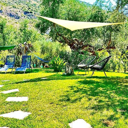 The Secret Garden At Villa Georgia กาลามาตา ภายนอก รูปภาพ